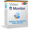 Video Surveillance Monitor